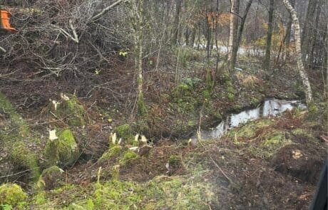 2022-01-20-11-25-38_7575bbe7d3e7bda010e457300ecfd0.jpgHjelmeland